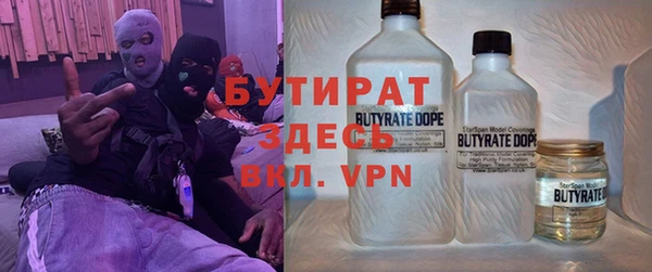 шишки Новодвинск