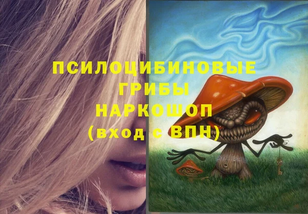 шишки Новодвинск