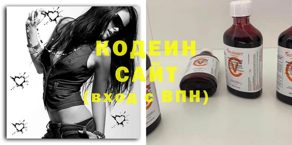шишки Новодвинск