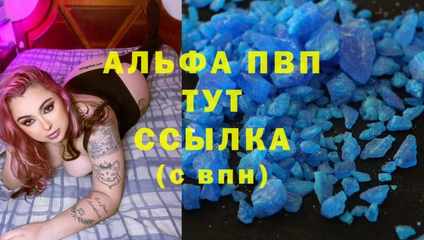 эйфоретик Новокубанск