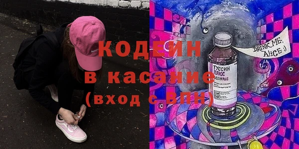 шишки Новодвинск