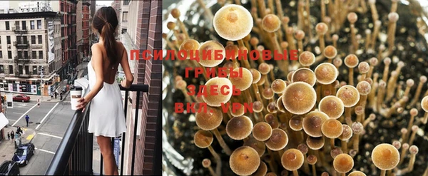 первитин Болхов