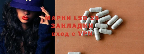 шишки Новодвинск