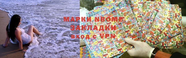 шишки Новодвинск