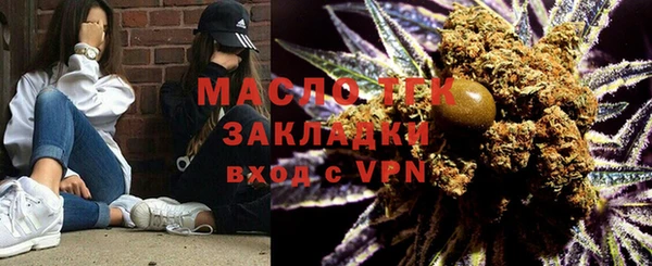 шишки Новодвинск
