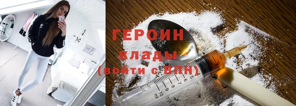 шишки Новодвинск
