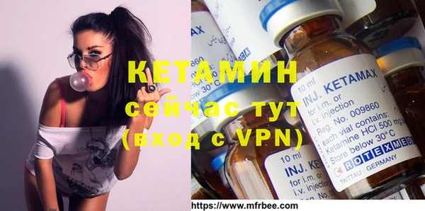 шишки Новодвинск