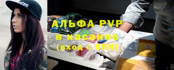 шишки Новодвинск