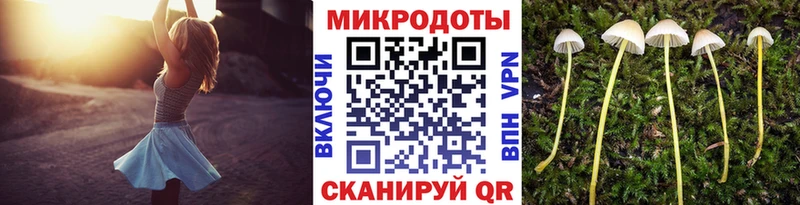 где можно купить наркотик  Краснодар  Галлюциногенные грибы Cubensis 